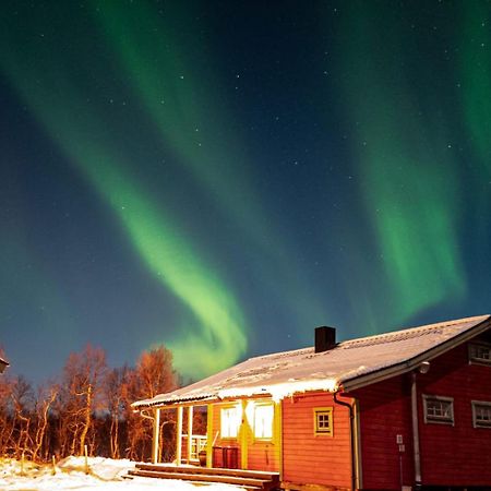 Trivelig Hytte I Senja. Zewnętrze zdjęcie