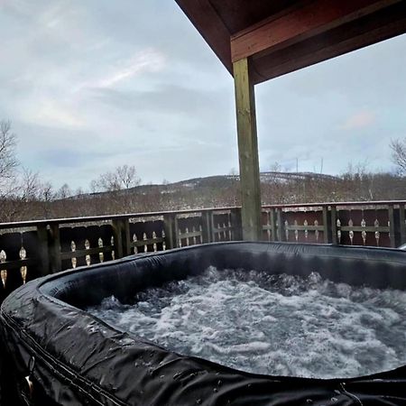 Trivelig Hytte I Senja. Zewnętrze zdjęcie
