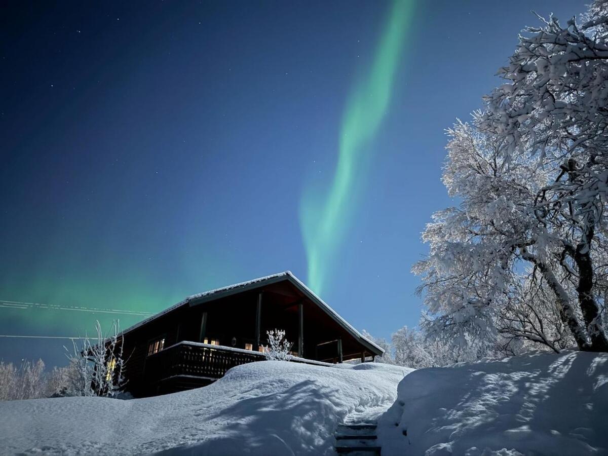 Trivelig Hytte I Senja. Zewnętrze zdjęcie