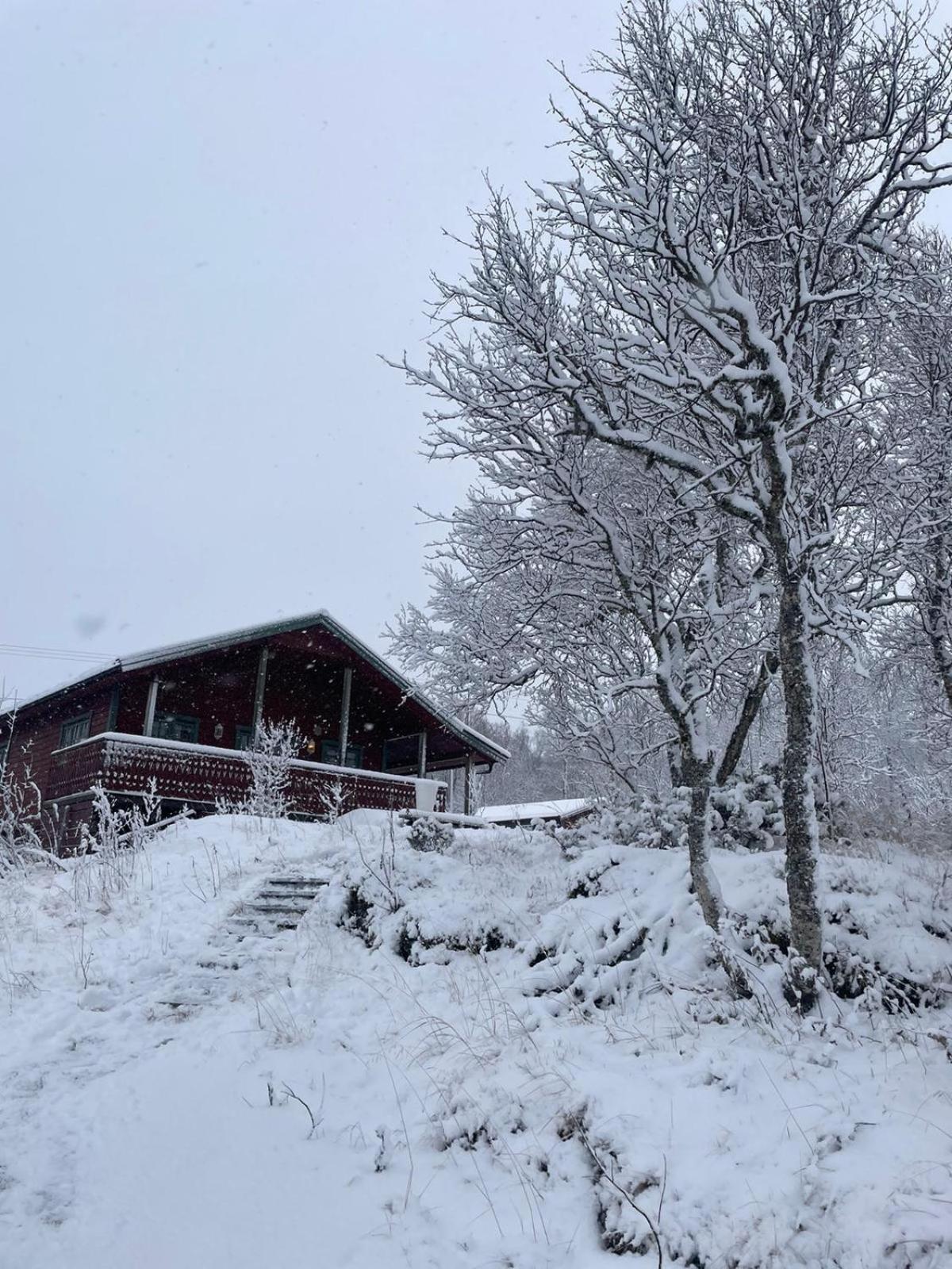 Trivelig Hytte I Senja. Zewnętrze zdjęcie